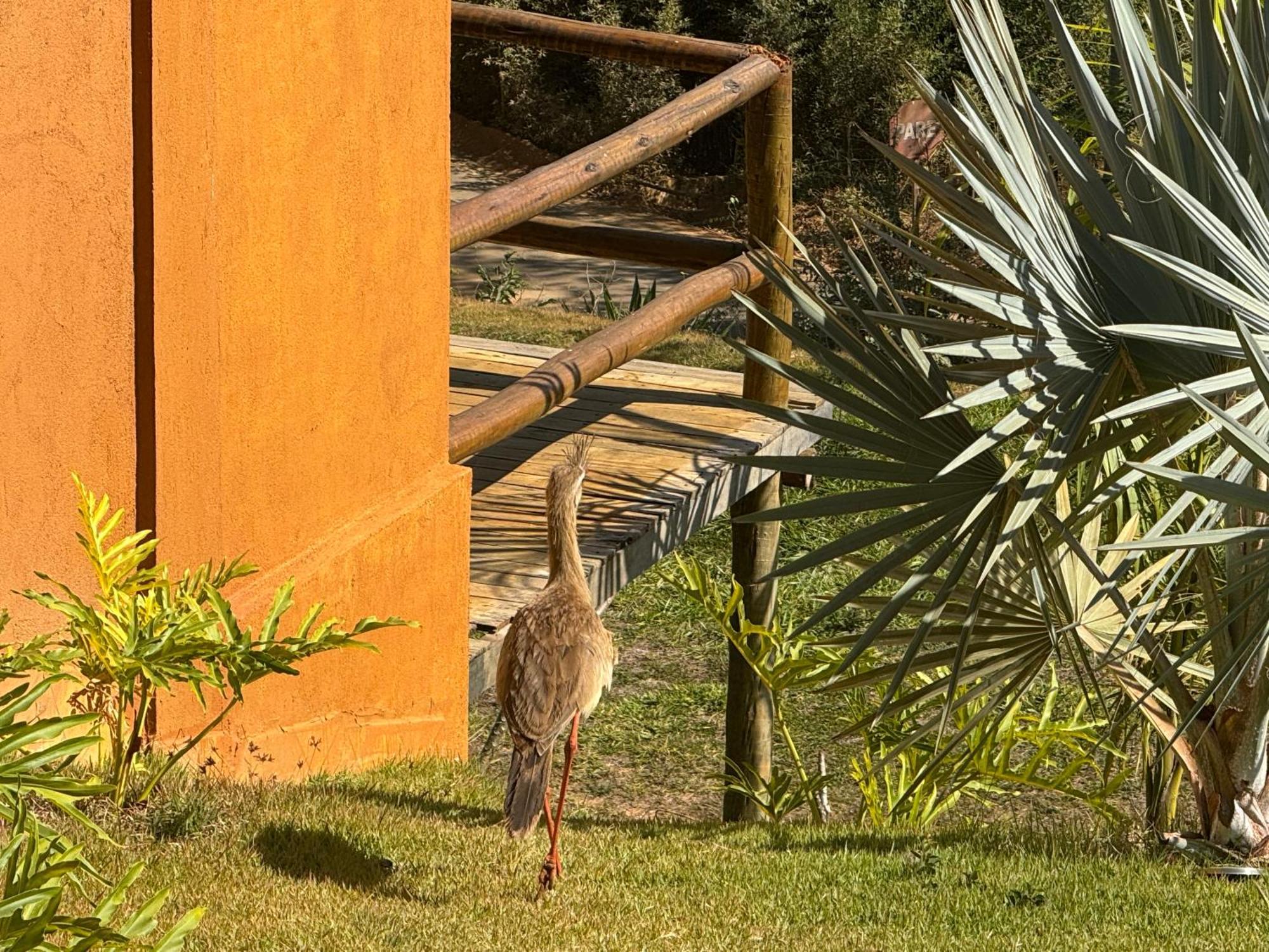 Pousada Guardia Da Canastra Vargem Bonita Eksteriør billede